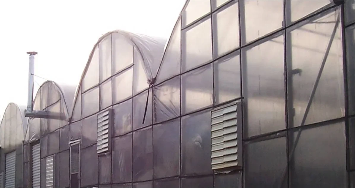 rsw1300h800 5 rsw1300h800 5