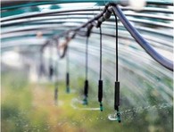 Juego de mini rociadores colgantes