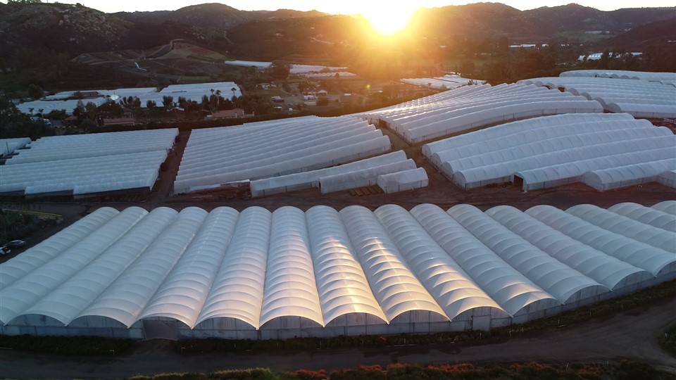 Estructura de acero galvanizada en caliente del marco de acero para el invernadero, edificio de la construcción